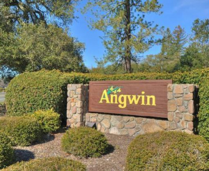 Angwin CA Real Estate